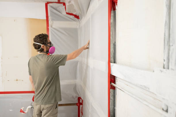 Best Post-Construction Mold Inspection  in Murphys Estates, SC