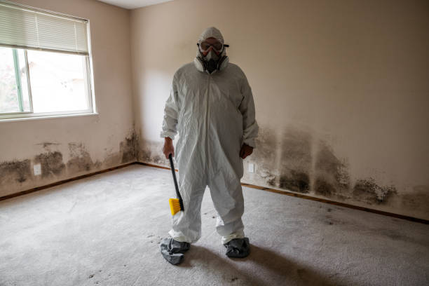Biohazard Mold Removal in Murphys Estates, SC